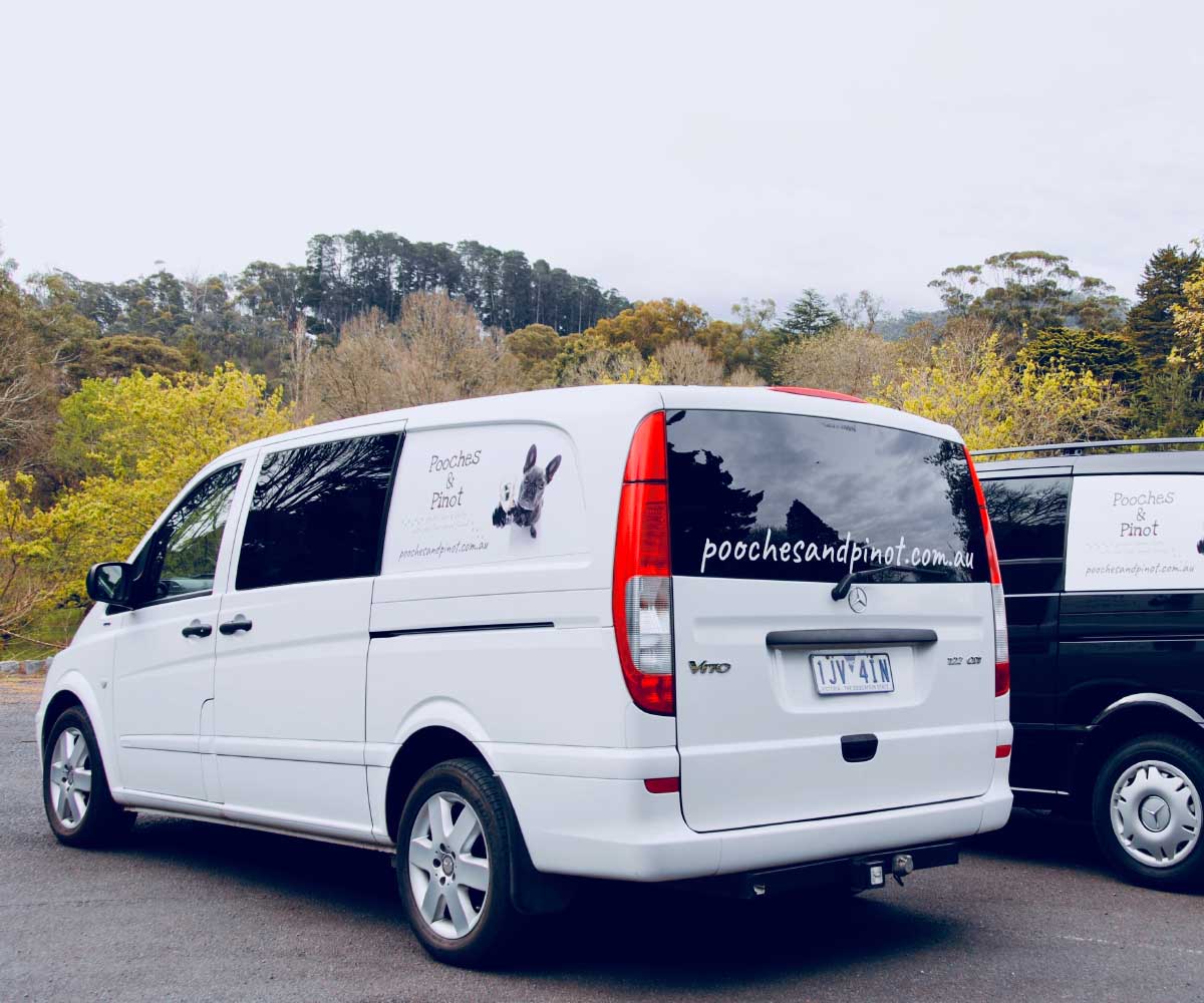private-wine-tour-vans